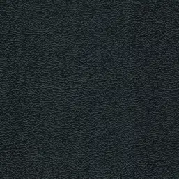 54" Allsport 4-Way Stretch Hi-Tac Black Cushion Vinyl