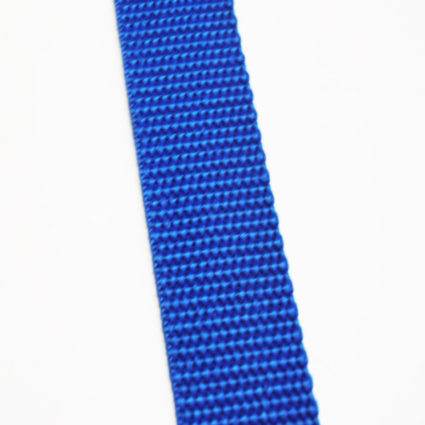 1" Polypropylene Medium Webbing Blue