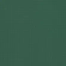13 oz Laminated PVC Vinyl Green