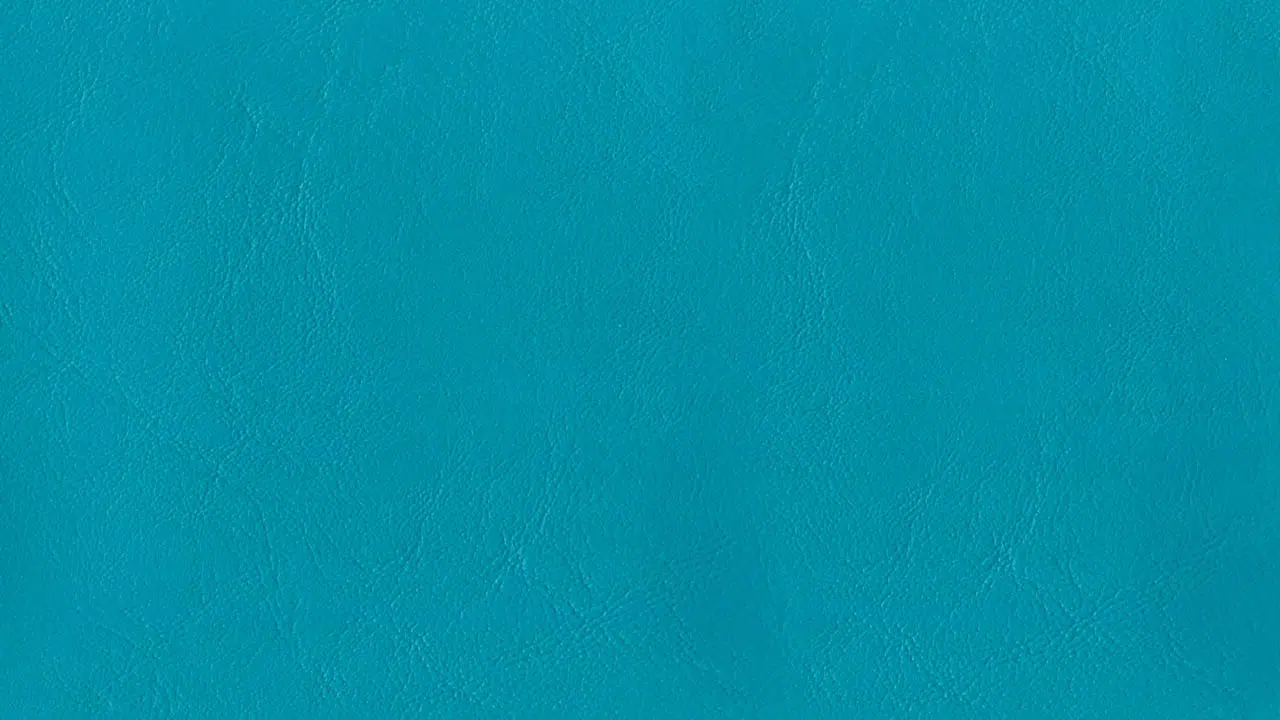 54" Zander Marine Cushion Vinyl Aquamarine
