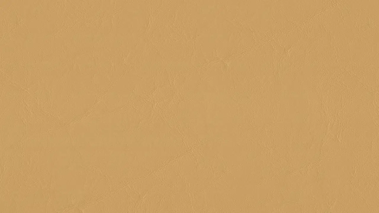 54" Zander Marine Cushion Vinyl Dune